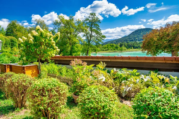 奥地利克拉根湖和周围的植被在一个美丽的夏日 — 图库照片