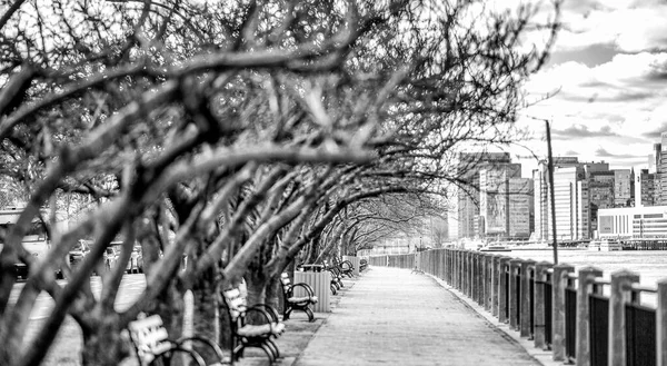 ニューヨーク市のスカイラインを望むイースト川沿いのルーズベルト島の遊歩道とベンチ — ストック写真