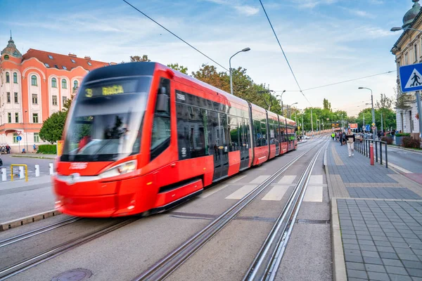 Bratislava Slowakije Augustus 2022 Rode Tram Langs Grote Straat — Stockfoto