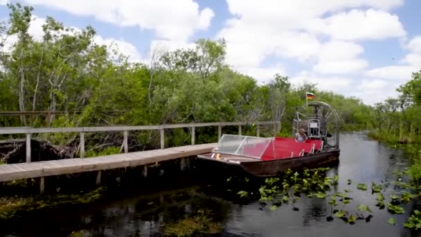 Everglades Florida March 2018 Tourists Ready Embark Airboat Common Way — Stock Video