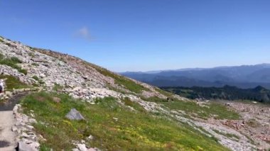 Rainier Dağı Ulusal Parkı vadileri.