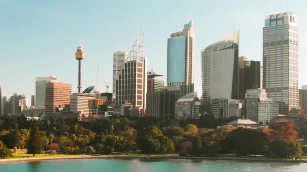 美しい朝のシドニーの素晴らしいスカイライン ドローンからの空の景色 オーストラリアのニューサウスウェルズ州 — ストック動画