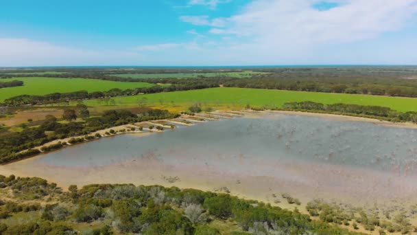 Kangaroo Island Lake Trees Aerial View Drone Australia — Stok video