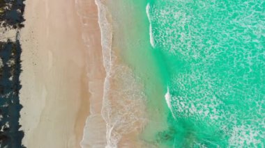 Beautiful waves along the shoreline, overhead aerial view from drone.