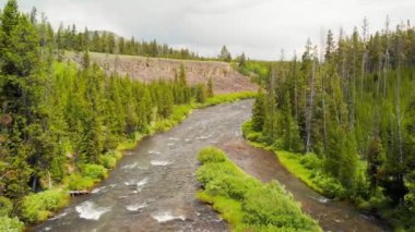 Yaz mevsiminde Yellowstone Nehri 'nin inanılmaz hava manzarası.