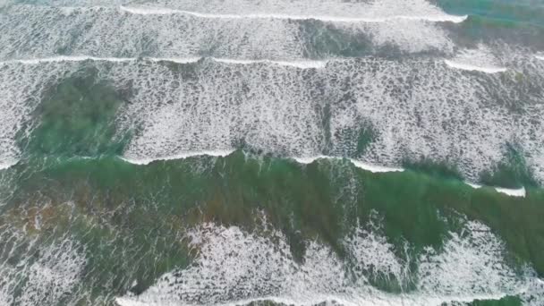 Beautiful Waves Shoreline Overhead Aerial View Drone — Stockvideo