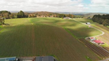 Aerial view of Vineyards in South Australia.