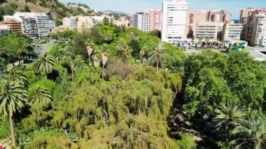 Malaga, Endülüs 'teki bir şehir parkının ve ağaçların havadan görünüşü.