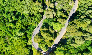 Downward aerial view of a beautful windy road across a forest.
