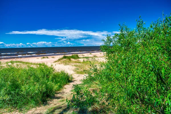 Playa Salacgrivas Letonia Hora Verano —  Fotos de Stock