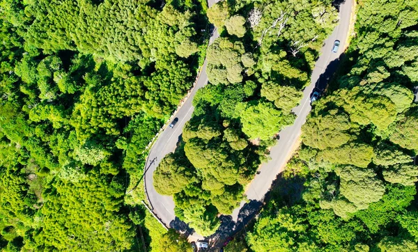 Downward Aerial View Beautful Windy Road Forest — Stockfoto