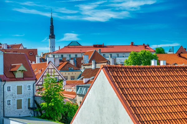 Tallinn Estonsko Července 2017 Tallinn Panoramatický Letecký Pohled Slunečného Letního — Stock fotografie