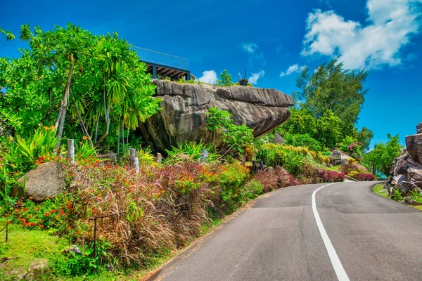 Road Seychelles Island Crossing Island Beautiful View — Photo