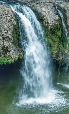 Güzel Queensland, Avustralya 'daki Paronella Park tropikal yemyeşil.