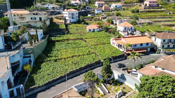 Aerial View Seixal Coastline Madeira Portugal —  Fotos de Stock