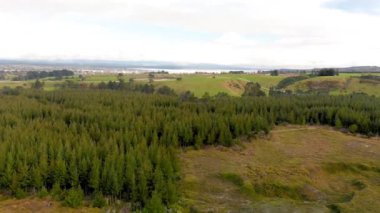 Rotorua Kraterlerinin Ay Gayzerleri, Yeni Zelanda.