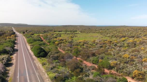 横穿袋鼠岛的道路和山脉 无人驾驶飞机的空中景观 — 图库视频影像