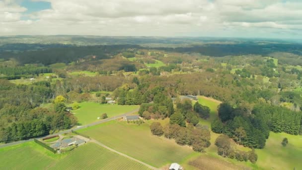 Aerial View Vineyards South Australia — Stock Video