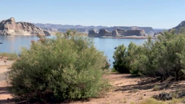 Vista Aérea Panorámica Del Lago Powell Arizona — Vídeos de Stock