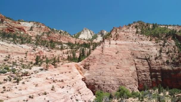 Zion Canyon National Park Seen Drone Summer Season — Stock Video