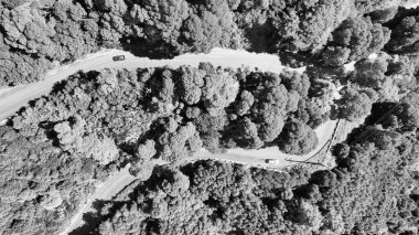 Downward aerial view of a beautful windy road across a forest.