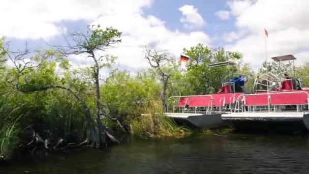 Łódź Powietrzna Zwiedzająca Bagna Everglades Floryda — Wideo stockowe
