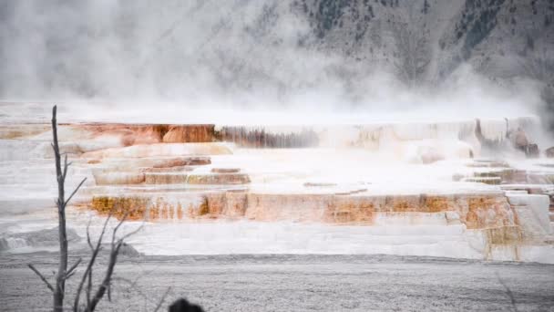 Mamut Hot Springs Sezonie Letnim Yellowstone Wyoming — Wideo stockowe
