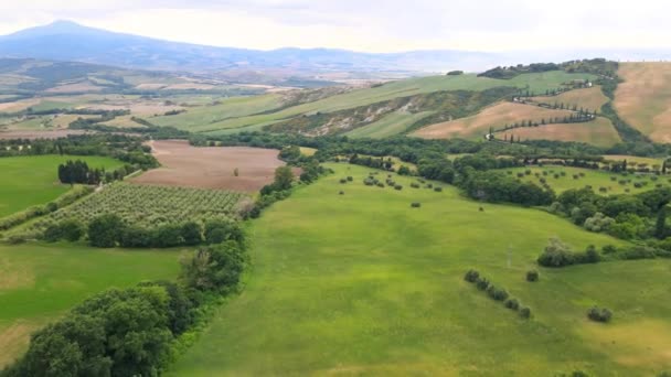 Famoso Camino Ciprés Monticchiello Toscana Vista Aérea Desde Dron Temporada — Vídeos de Stock