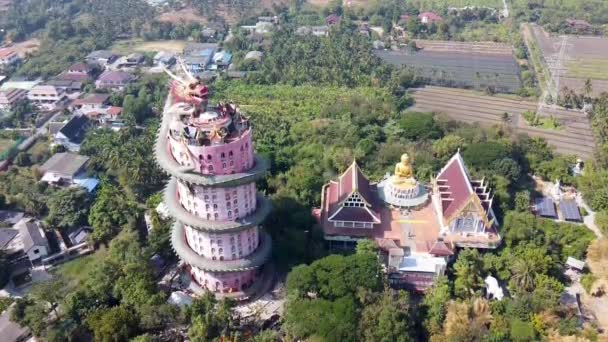 Vista Aérea Wat Samphran Dragon Temple Distrito Sam Phran Província — Vídeo de Stock