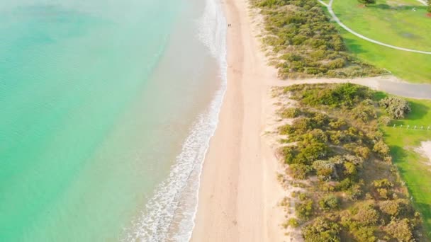 Aerial Footage Beautiful Seashore Sunny Day — Stock Video