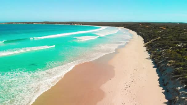Kangaroo Island Australia Pennington Bay Waves Coastline Aerial View Drone — Stock Video