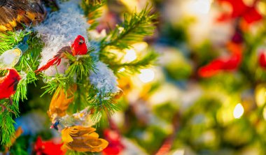 Noel ağacında taze köknar dalları ve süsler.