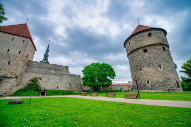 Bulutlu bir yaz gününde Tallinn 'in sokakları ve simgeleri, Estonya.