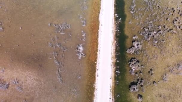 Aerial Panorama Lagoon Swamp Sunny Day Kangaroo Island South Australia — Stock Video
