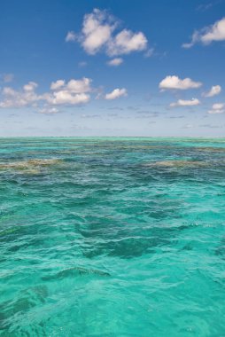 Queensland Mercan Kayalıkları, Port Douglas - Avustralya. Büyük Set Resifi