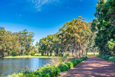 Bahar mevsiminde Güzel Mağara Yolu, Batı Avustralya.
