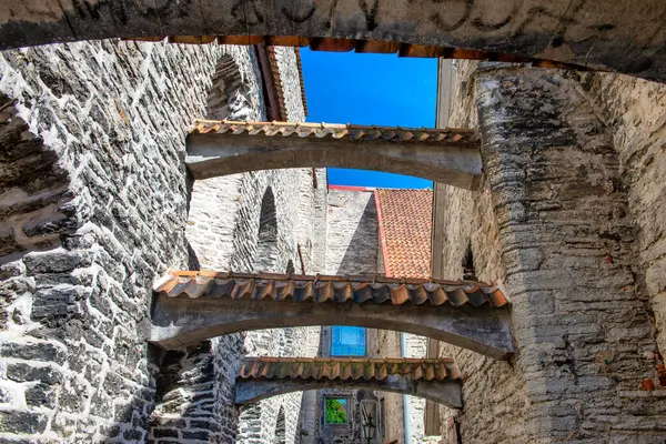 Tallinn, Estonya - 15 Temmuz 2017: Tallinn sokakları ve ortaçağ binaları güneşli bir yaz gününde.