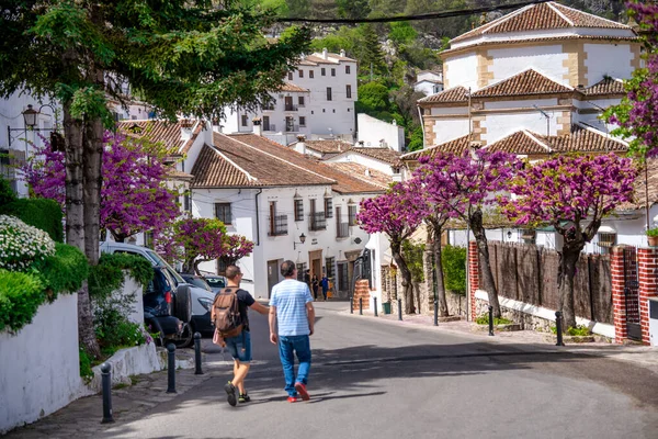 Grazalema สเปน เมษายน 2023 ถนนกลางเม องและบ านส ขาวในว แดดสดใส — ภาพถ่ายสต็อก