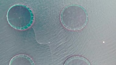 İzlanda 'da yüzen kafeslerle birlikte yuvarlak ağda çiftçilik yapan deniz balıkları. Aquakulture somon balıkçılık çiftliğinin aşağı bakan manzarası..