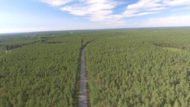 Kırsal kesimde yol geçen ormanın havadan görünüşü.