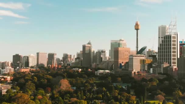 Incrível Skyline Sydney Uma Bela Manhã Vista Aérea Drone Nsw — Vídeo de Stock