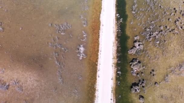Εναέρια Πανόραμα Του Βάλτου Της Λιμνοθάλασσας Μια Ηλιόλουστη Μέρα Νήσος — Αρχείο Βίντεο