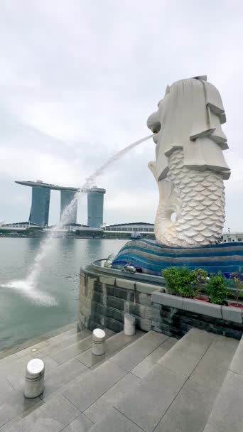 Singapour Août 2023 Singapour Merlion Est Symbole Ville — Video