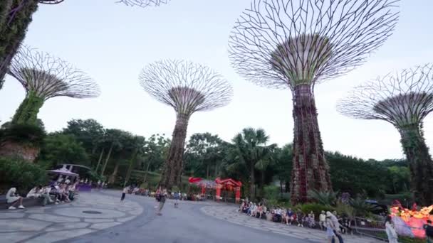 Singapore Szeptember 2023 Kertek Öbölben Éjszaka Szingapúrban — Stock videók