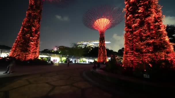 Zahrady Zálivu Noci Singapuru — Stock video