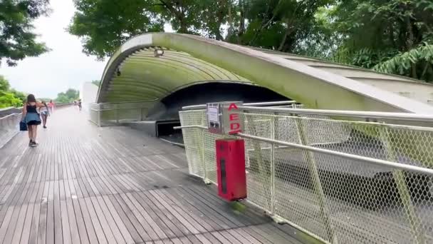 Мост Хендерсон Уэйвз Знаменитом Туристическом Центре Сингапуре — стоковое видео