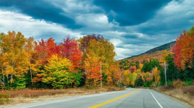 Sonbaharda ormanın içinden yol geçen bir arazi gezisi. Günbatımında sonbahar ormanı. Güzel boş dağ yolu, kırmızı ve turuncu yapraklı ağaçlar..