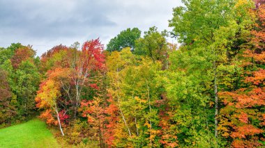 Sonbahar mevsiminde sonbahar yaprakları. Sonbaharda kızıl sonbahar manzaraları, New England 'ın ağaçları ve dağları.