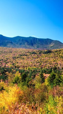 Sonbahar mevsiminde sonbahar yaprakları. Sonbaharda kızıl sonbahar manzaraları, New England 'ın ağaçları ve dağları.