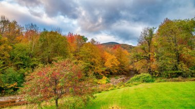 Sonbahar mevsiminde sonbahar yaprakları. Sonbaharda kızıl sonbahar manzaraları, New England 'ın ağaçları ve dağları.